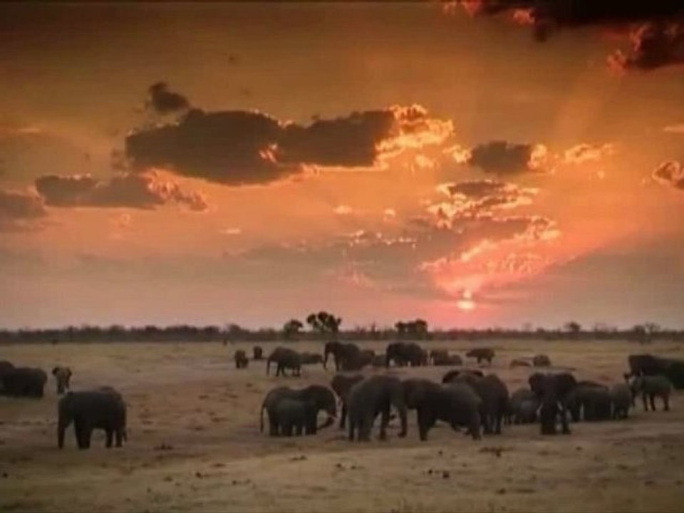 THE NATURE OF THE MUSIC - AFRICA