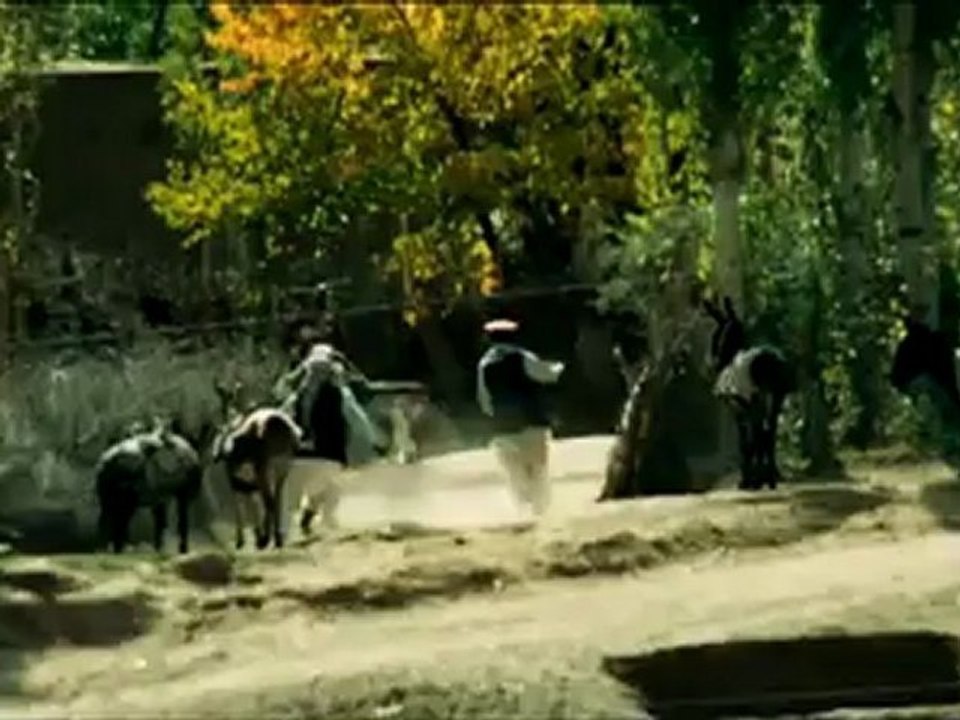 FORCES SPECIALES - Bande-annonce VF