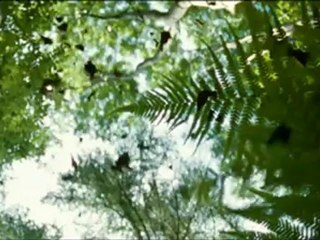 HIDEAWAYS - Bande-annonce VF