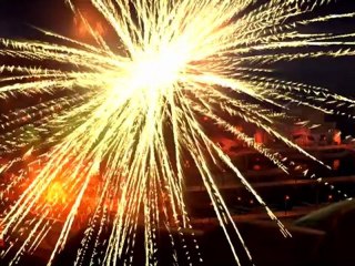 LE CHAT POTTE - Bande-annonce VO