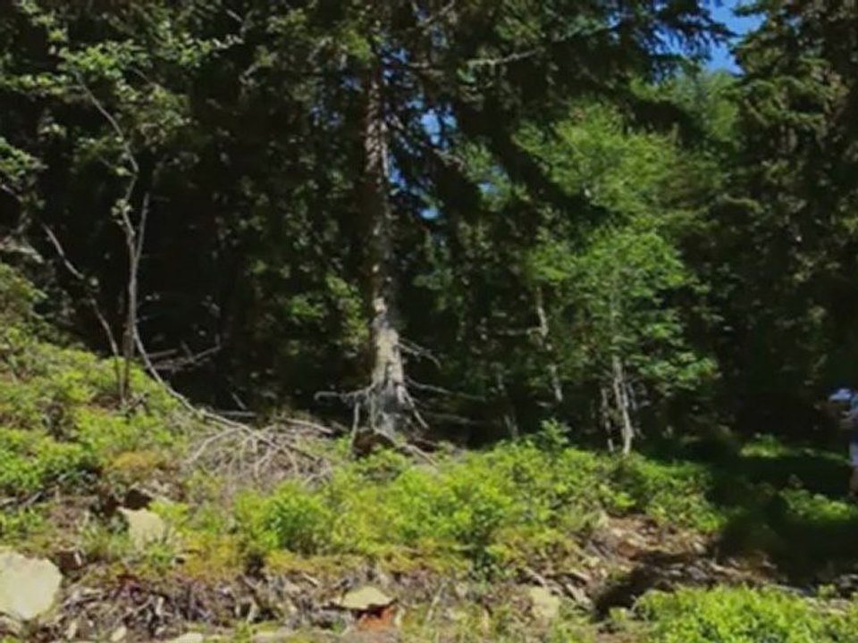 LA NUIT DE LA GLISSE EN 3D (COTE DIFFUSION) - Bande-annonce VF