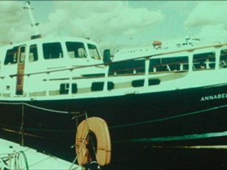 L'IRLANDAIS - Bande-annonce VF