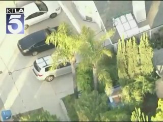 Salió de su casa y se encontró con un oso negro de casi 200 kilos