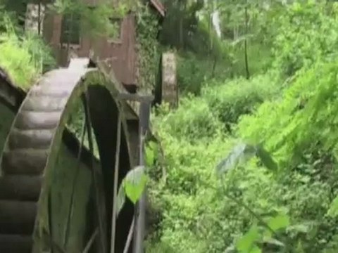 LE PEUPLE DE L'ALPE - BUISSON - Bande-annonce VF