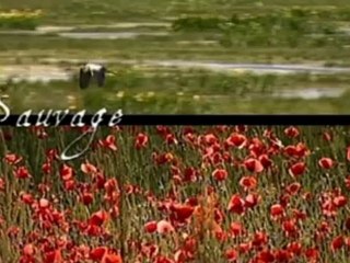 LOIRE - MATHON - Bande-annonce VF