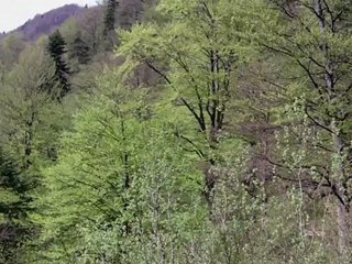 Le voyage en auto-stop c'est quoi?