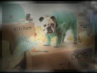 Moving in Bradenton? Call Martin's Moving Inc (941) 809-5777