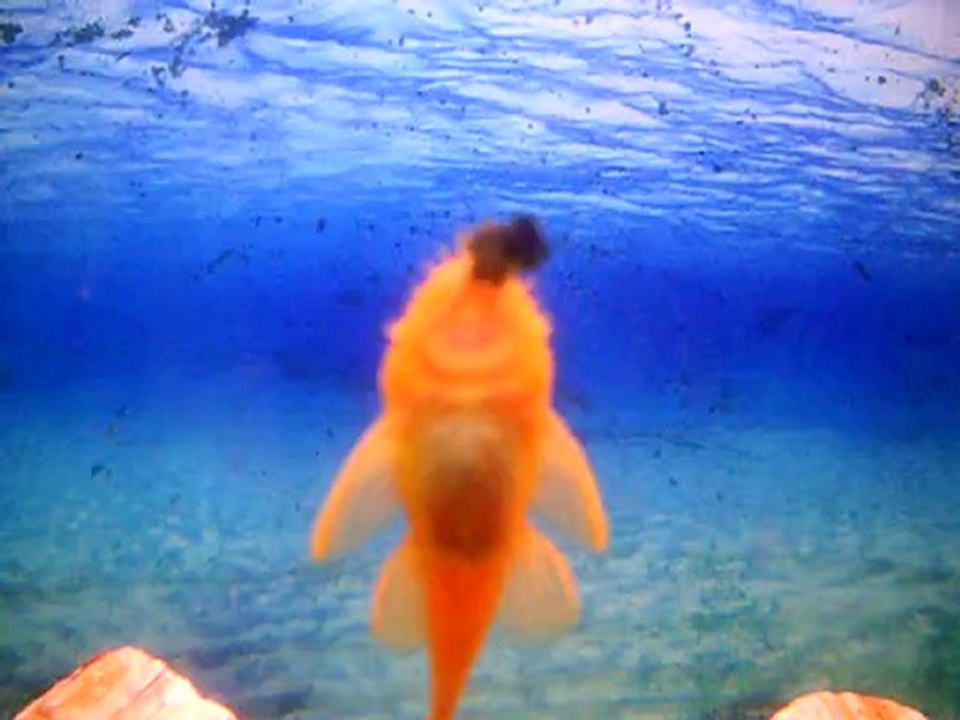 DSCN0657