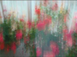 MES YEUX DANS TON REGARD NILDA FERNANDEZ