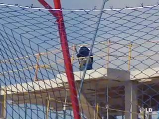 Economía en Madrid 1ª Ed. - 07/02/08