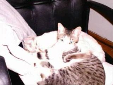 Nós os dois