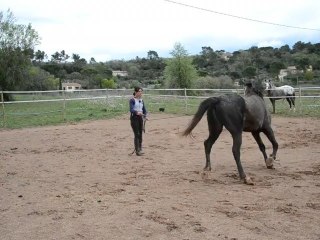 12.04.2012 Laure et Titan 052