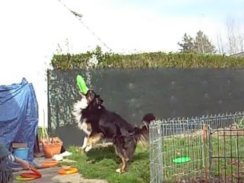 0412_Frisbee_Darwin_1