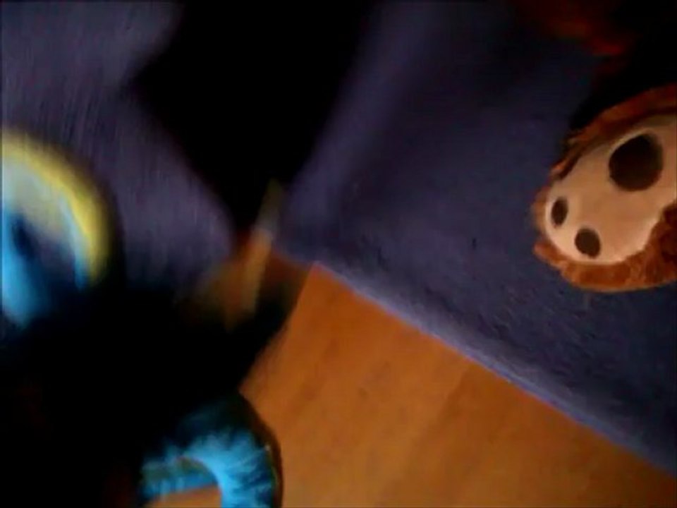 Bluffen & CO del 1-4