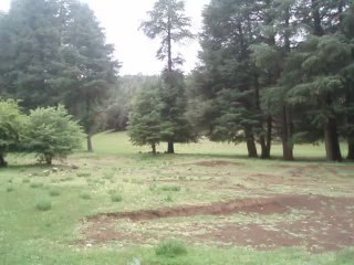 Site Bivouac incentive Forêt: