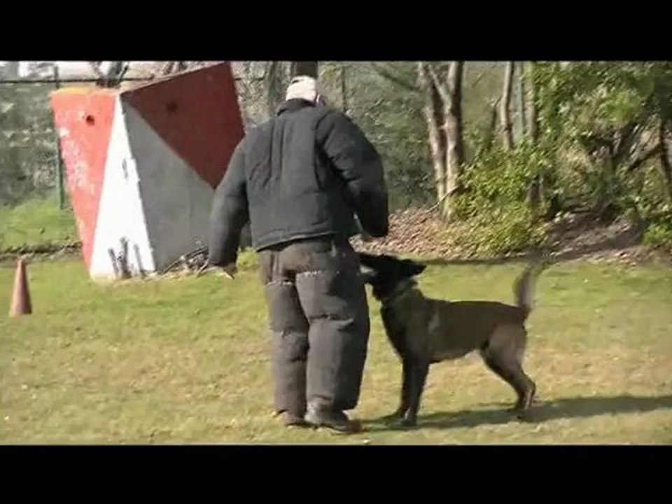 Emot à la défense du maître et à la recherche