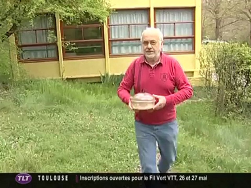 Frelon asiatique : tous à vous pièges ! (Toulouse)