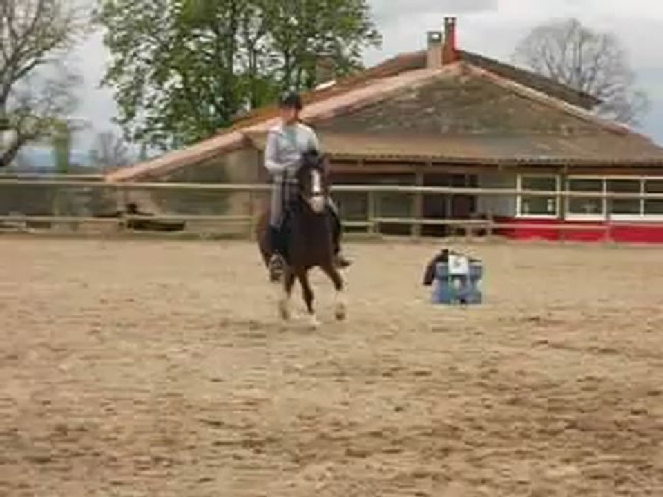Stage du 12 avril 2012.  Dressage