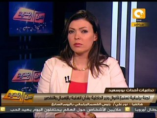 من جديد: طنطاوي وعنان يلتقيان وفد برلماني