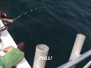 Destin Fishing Charters Destin Florida