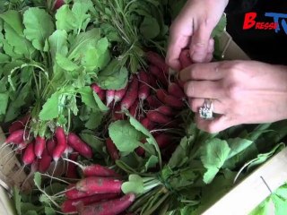 AFOCG 01 - L'Ain de Ferme en Ferme