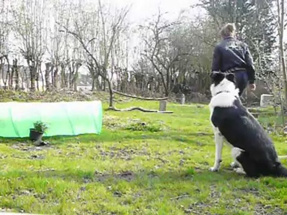 Enchainement de 6 obstacles avec Twix