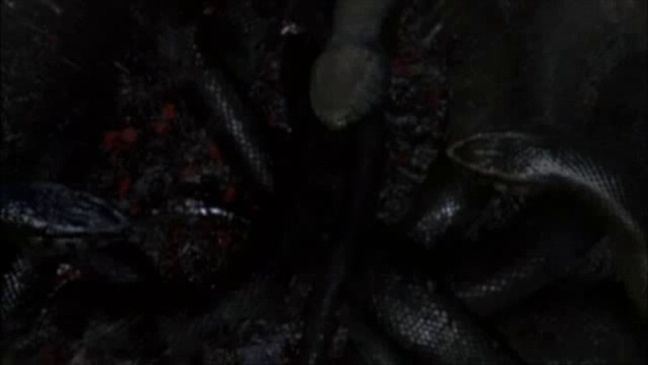 Anaconda 4, Rastros de Sangre (Anacondas, Trail of Blood) (2009)