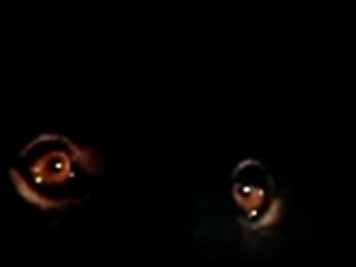 Wolfen Trailer - YouTube\_ The Nojery