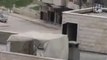 فري برس حماه المحتلة تواجد القناصة على أسطح المدارس في الأربعين حماة  12 4 2012 Hama