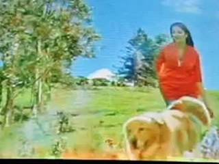 RECOPILACION DE COMERCIALES 2012 (4) by 5819