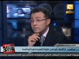 سعد الدين ابراهيم: سحب الثقة لا يعني إقالة الحكومة