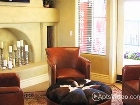 Indigo Pointe Apartments in Phoenix, AZ - ForRent.com