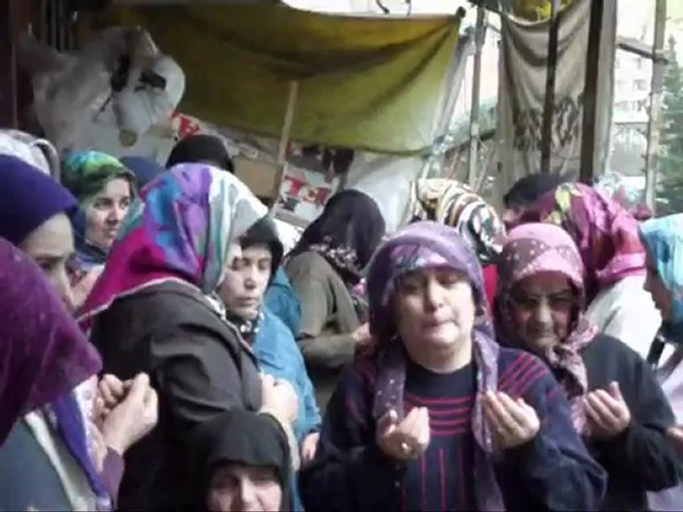 ali_aksoy
