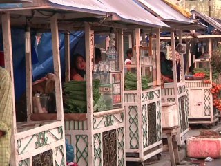 Asian tsunami warnings test post-2004 systems