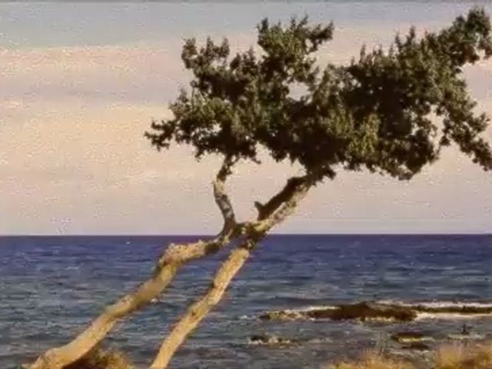 TreeInvertedAged