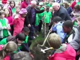 50 nouveaux arbres plantés par les enfants