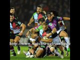Live Rugby Match Aironi vs Scarlets