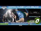 Watch Live Rugby Match Aironi vs Scarlets