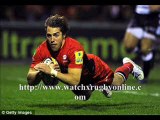 Online Rugby Match Aironi vs Scarlets