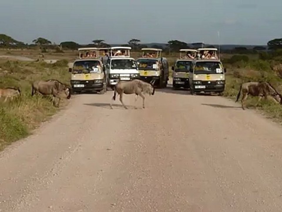 Kenya 2012