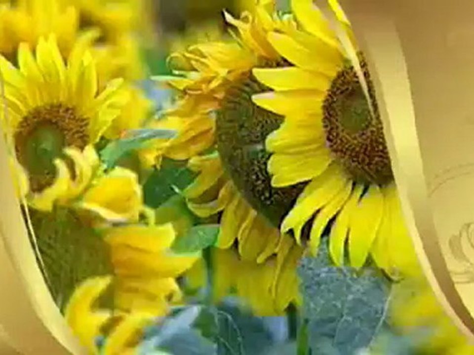 HZ. İSA (A.S.)'IN DÖNÜŞÜ VE HZ. MEHDİ'NİN GELİŞİ MEZHEPLERE GÖRE HAKTIR