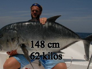 Test de la saltiga gt86 et saltiga gt 6000, sur les GT omanaises