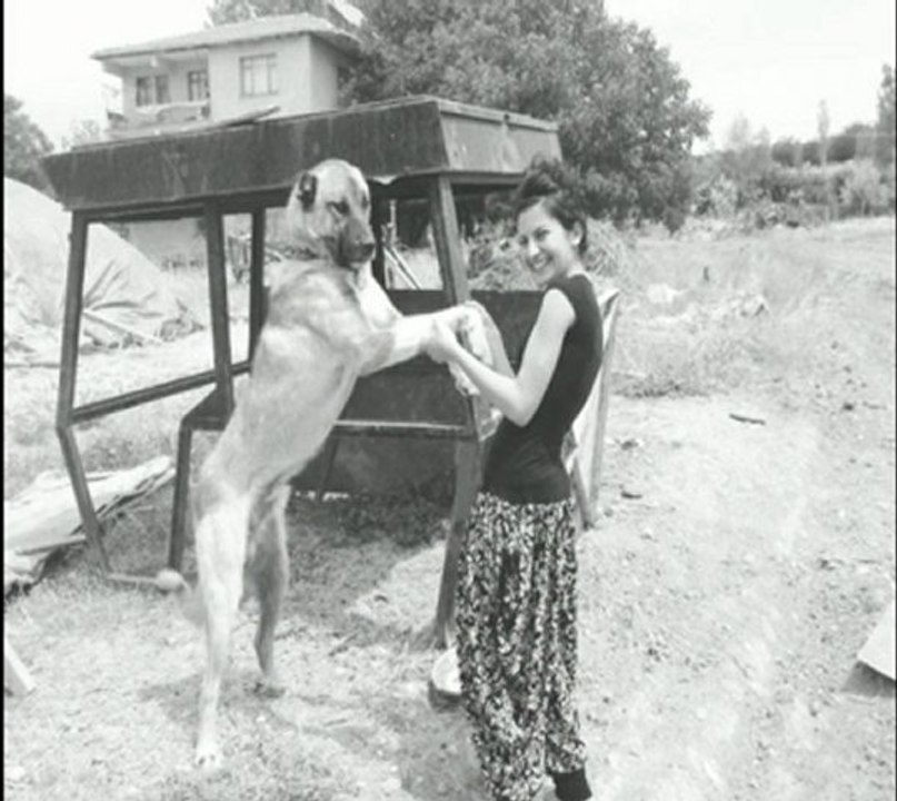 batuhan ozan şahin