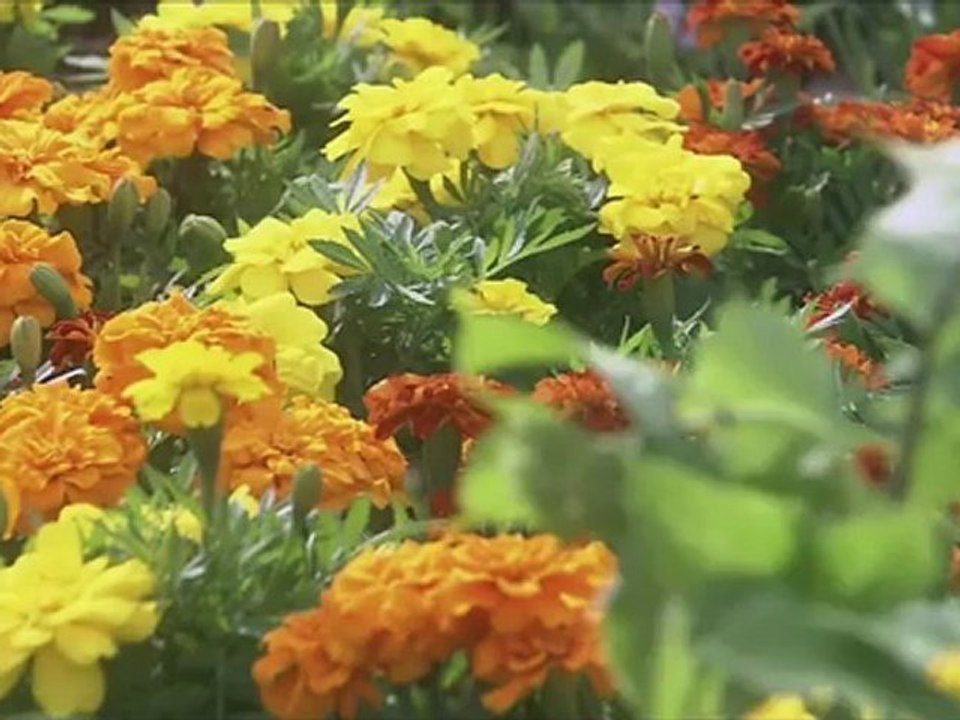 Kingyo.Club.EP6-Yeppudaa