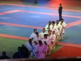Experts et champions de karaté - Festival des arts martiaux - Bercy 2012