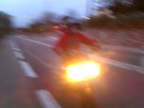 kit 80 polini évo préparé