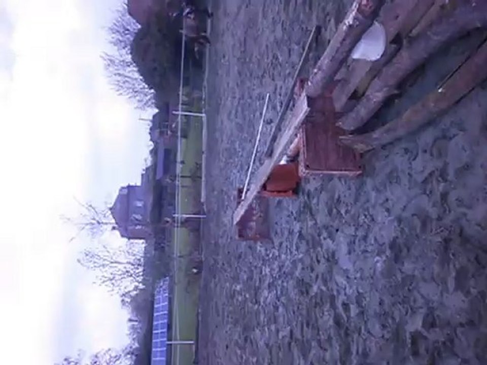 Saut avec Bisous