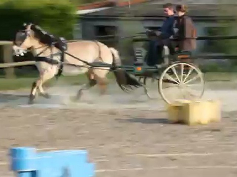 Suzy les dames1