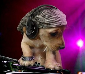 Dj KaNTiK Club Love Bubbling - izmir tiktak remix download