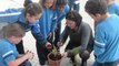 Crece con tu árbol: Plantación de arboles y semillas